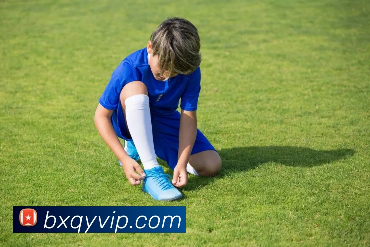 不朽情缘官网APP 高清赛事图